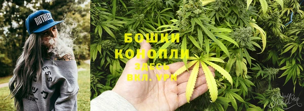 2c-b Новозыбков