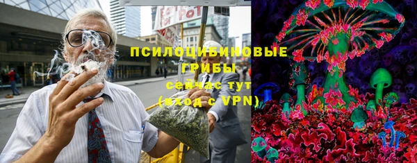 шишки Приозерск