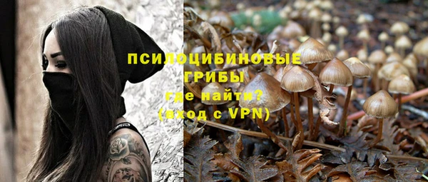 2c-b Новозыбков