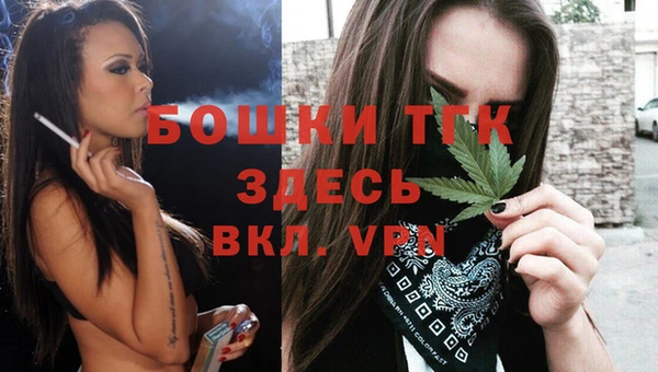 2c-b Новозыбков
