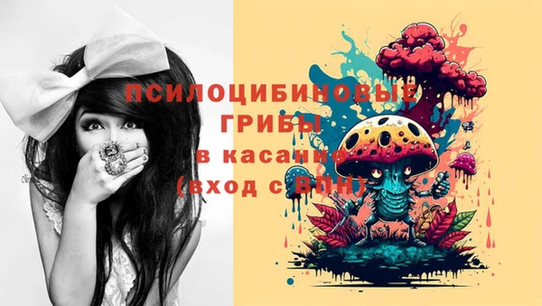 apvp Пролетарск