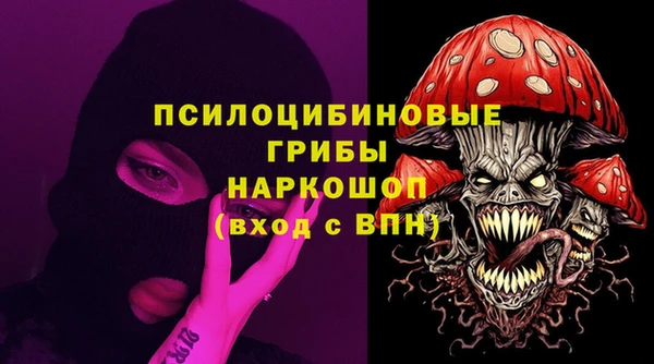 2c-b Новозыбков