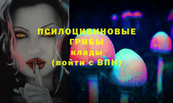 2c-b Новозыбков