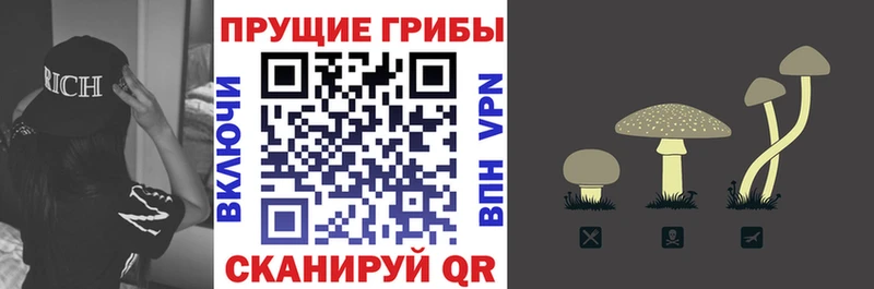 наркошоп  Алатырь  Псилоцибиновые грибы Magic Shrooms 