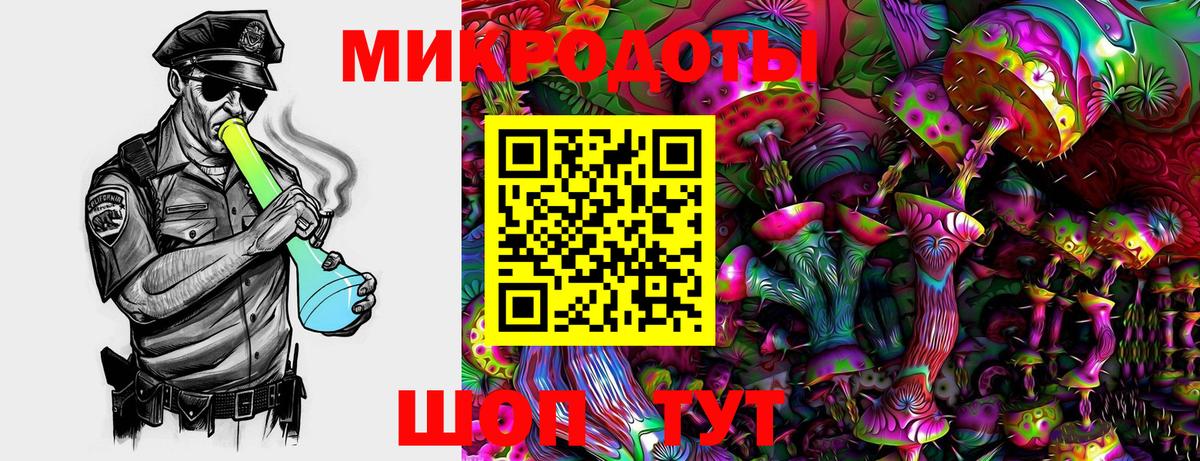 Псилоцибиновые грибы мицелий Алатырь